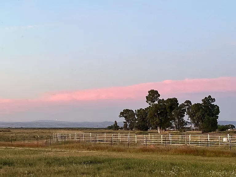 Prairie Way — Photo 24