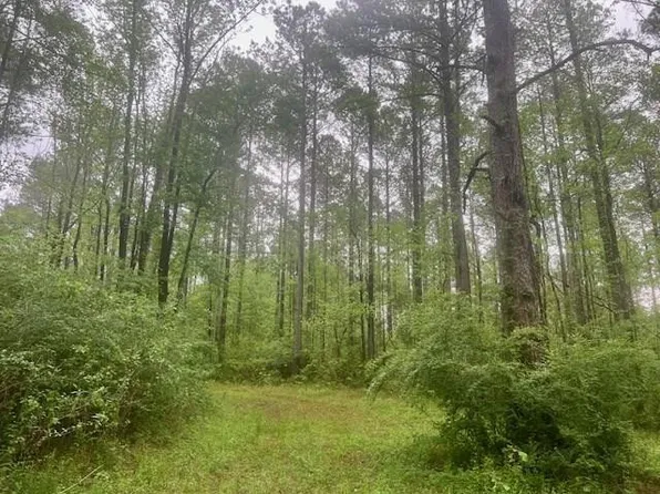 0 Coleman Rd, Liberty, MS 39645