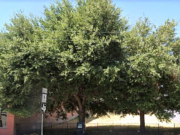 3rd image of 703/705 S Main St