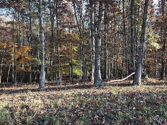 2nd image of 11 Smartview Ln