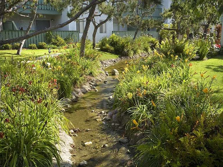 Pacific Oaks — Photo 20