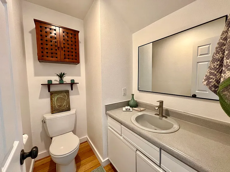 Guest 1/2 bathroom