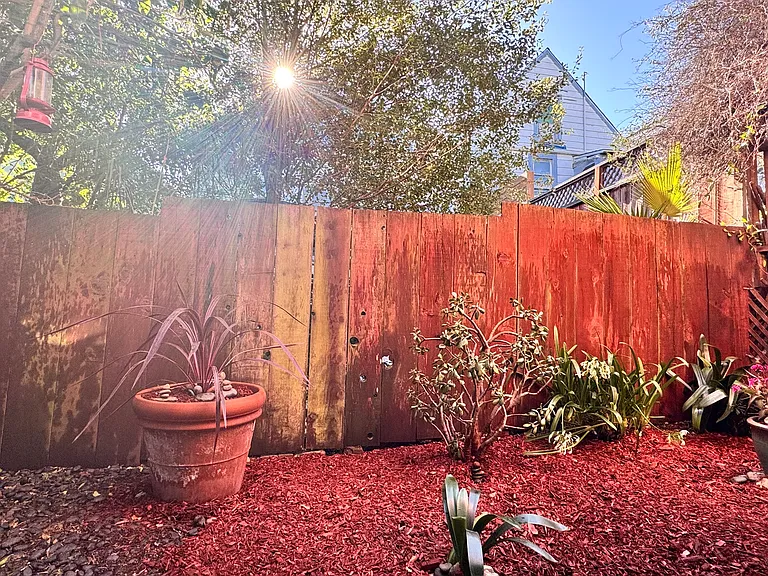 250 Moultrie St — Photo 21