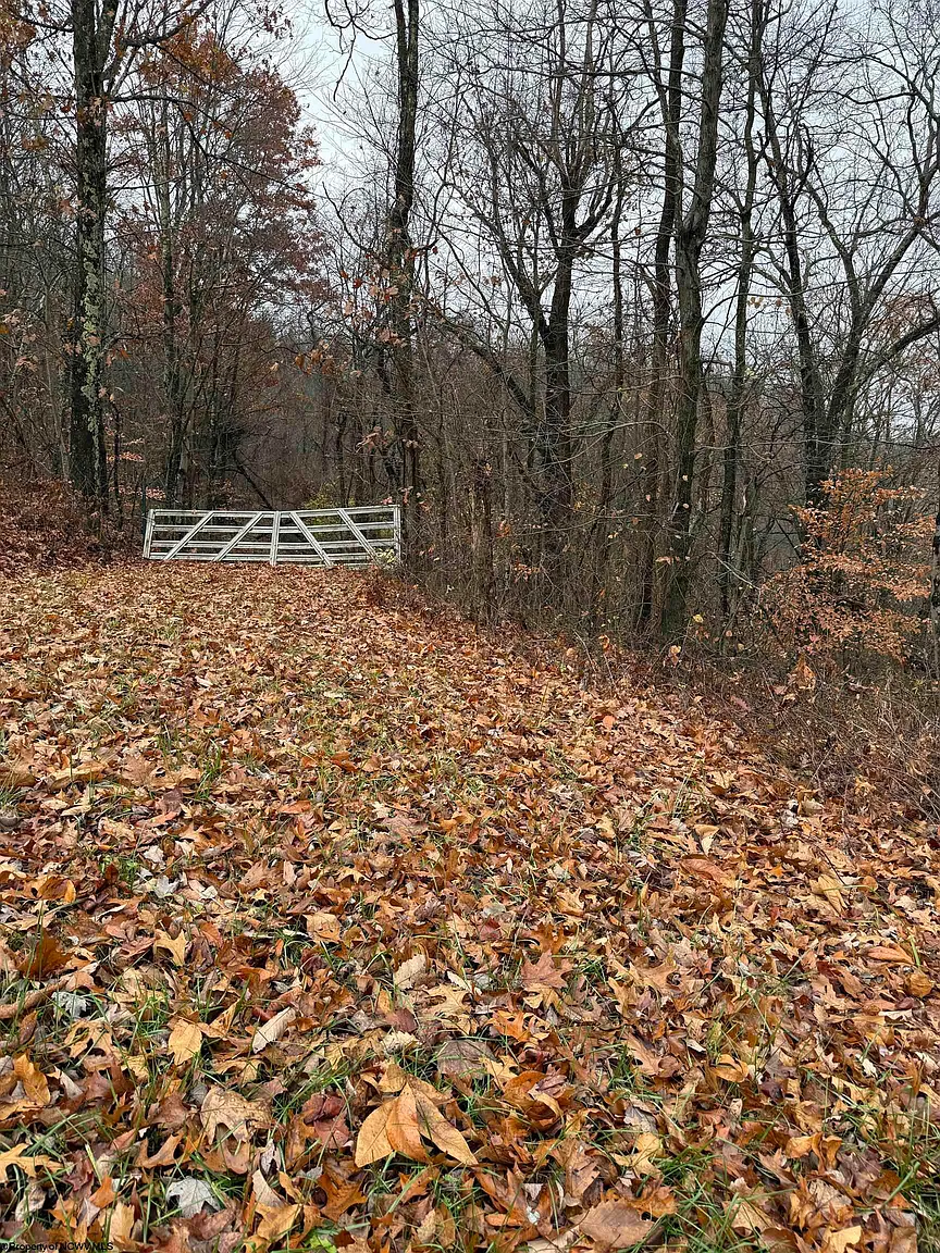 Cassville Mount Morris Rd photo 1