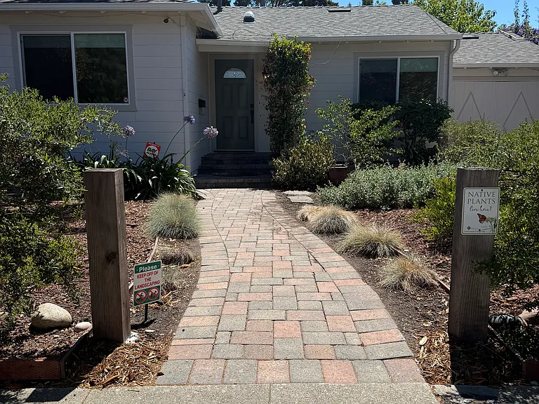 Front yard with low-maintenance native plants