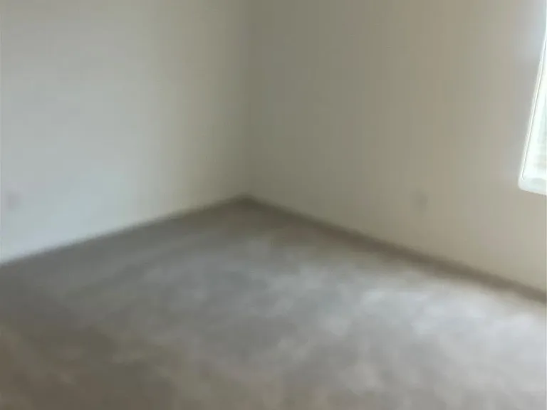 28927 Texas Sparrow Ln — Photo 10