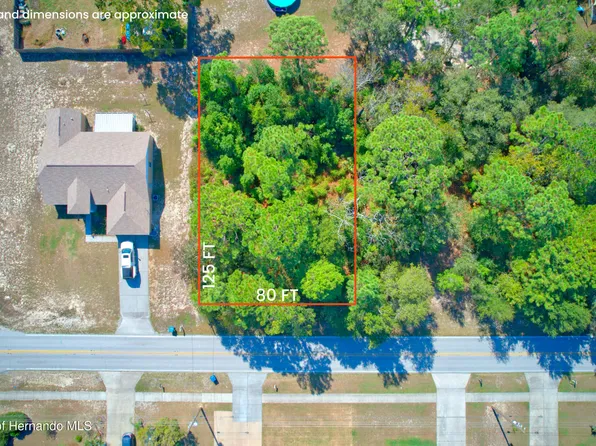 12662 N Linden Dr, Spring Hill, FL 34609