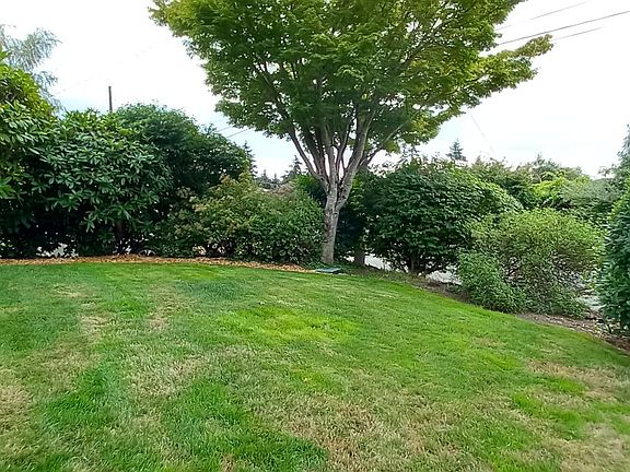 Raised Front Yard - 6' above street