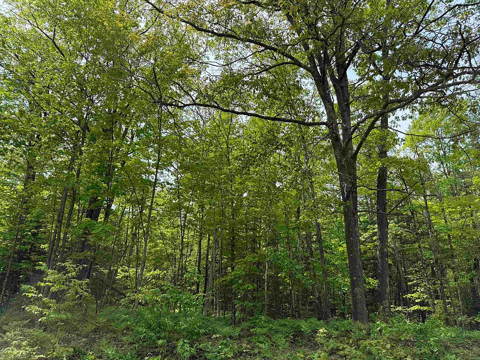 2nd image of xxx Clover Cemetary Rd