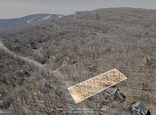 688 Shamokin Springs Trl, Nellysford, VA 22958