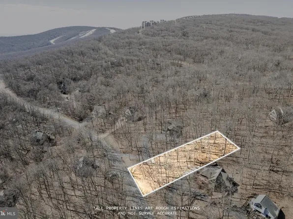 688 Shamokin Springs Trl, Nellysford, VA 22958