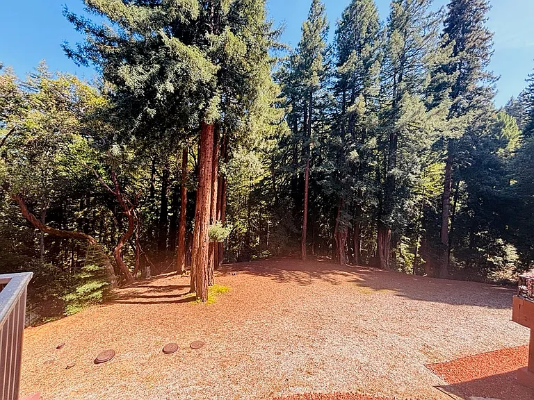 Beautiful trees outside unit and view from windows