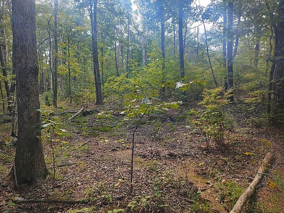 4th image of 64 Big Ridge Rd