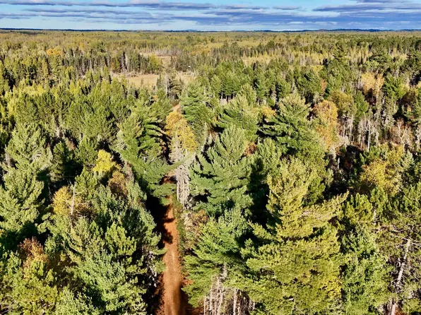 Tbd34 Willett Ln, Republic, MI 49879