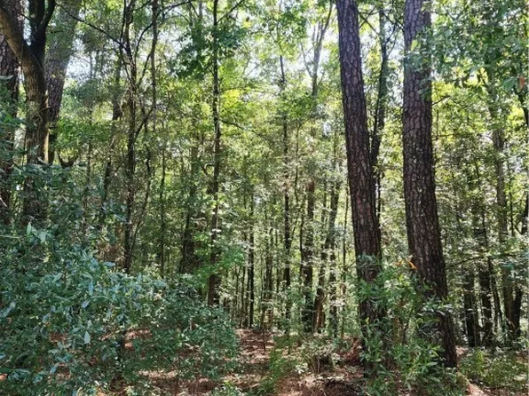 0 Early Street, Springfield, GA 31329