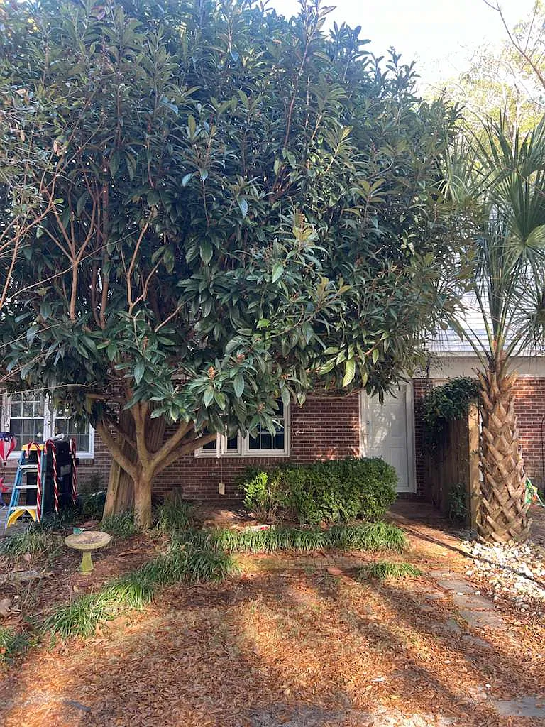 2 bed, $1,350 — Photo 1
