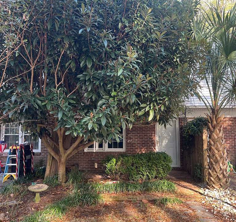 1st image of 1661 Forest Dr #2