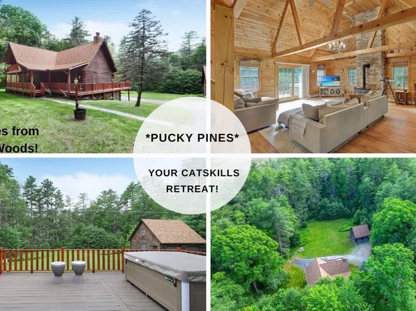 306 Pucky Huddle Road, Bethel, NY 12720