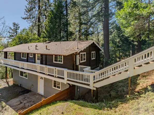 17485 Canyon View Ct, Pioneer, CA 95666