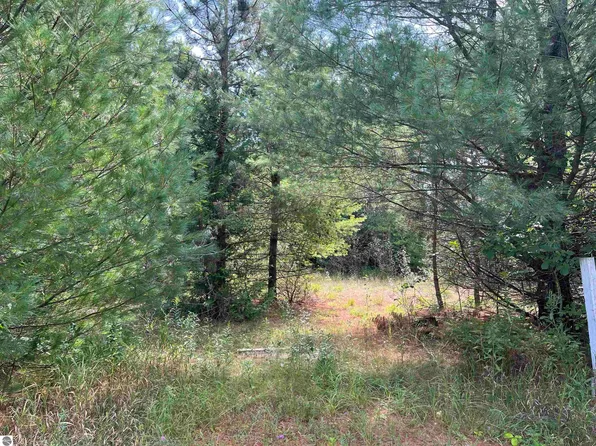 0 Cedar Lake Rd, Greenbush, MI 48738
