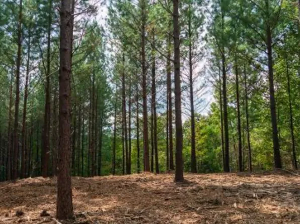 2533 Wedgewood Dr, Linden, TN 37096