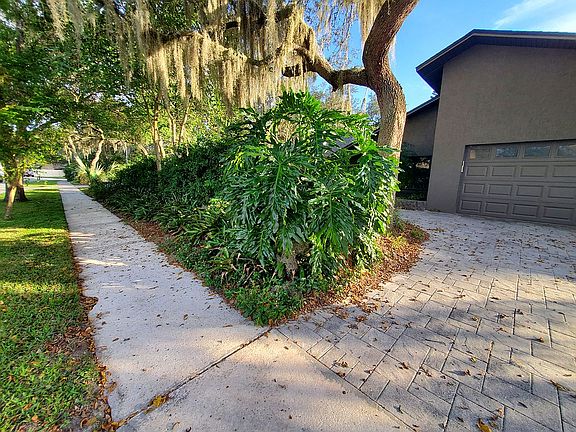 3rd image of 447 Timberwood Trl