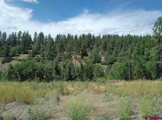 103 Spring Creek Village Pl, Durango, CO 81301