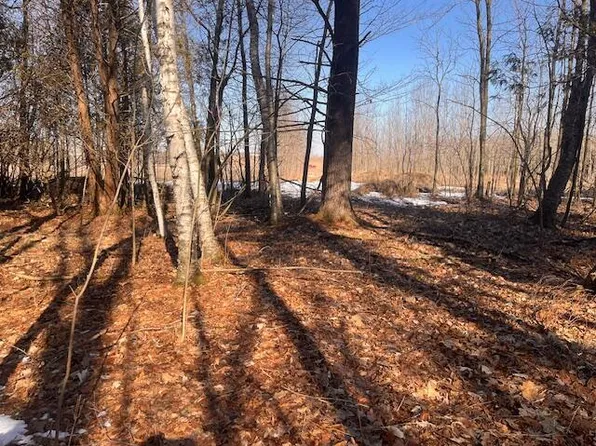 Lt0 POLIFKA ROAD, Whitelaw, WI 54247
