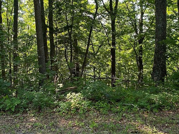 4th image of 0 Lakeview Dr