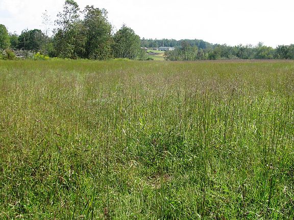 5th image of Wassom Memorial Hwy