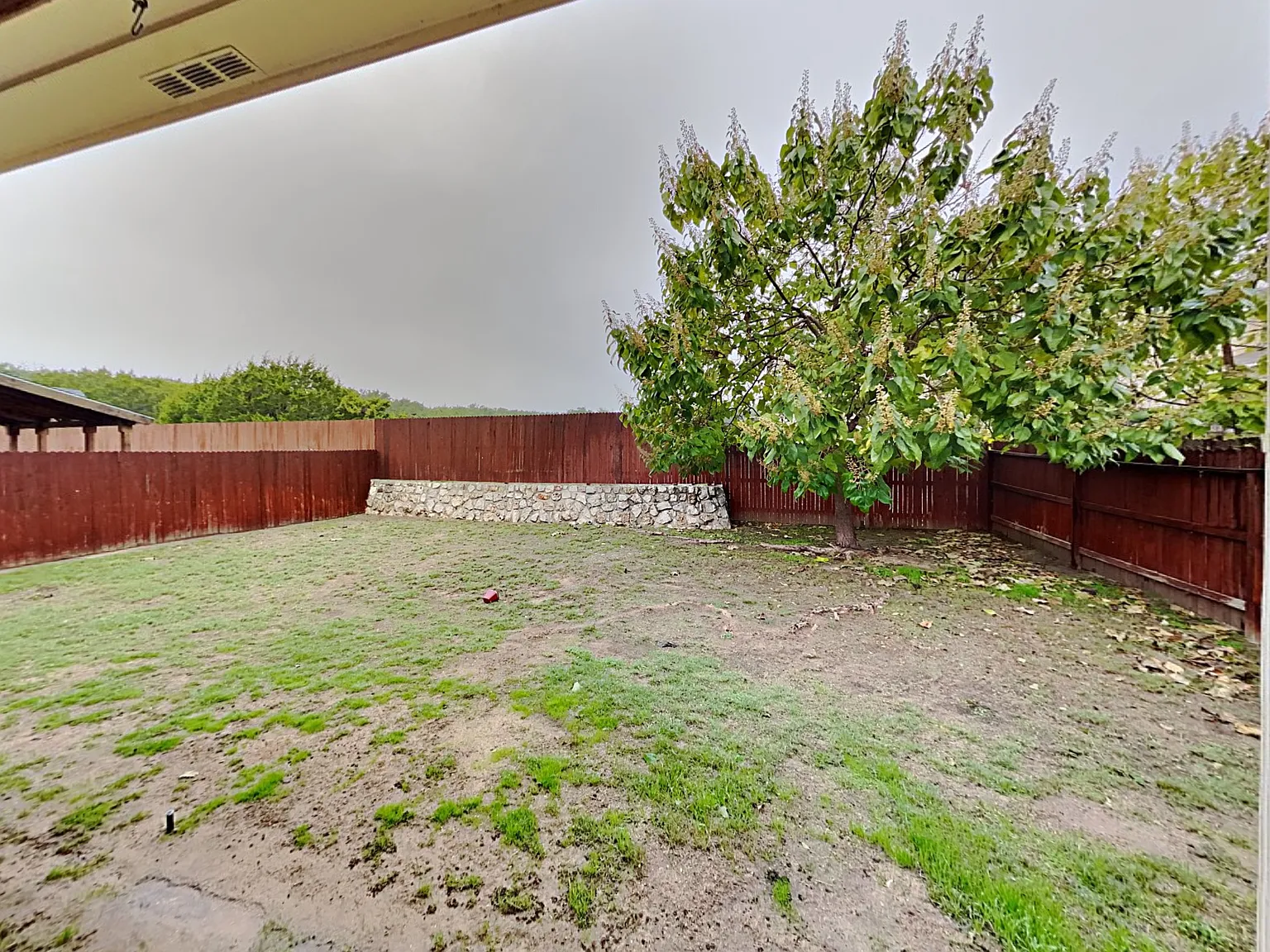 619 Trinity Meadow - 1 — Photo 3