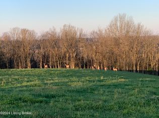 3 Tucker Ln, Springfield, KY 40069