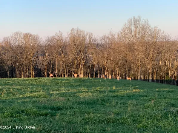 8 Tucker Ln, Springfield, KY 40069