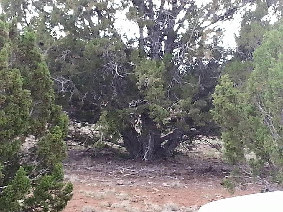 2nd image of 8773 Bonito Dr