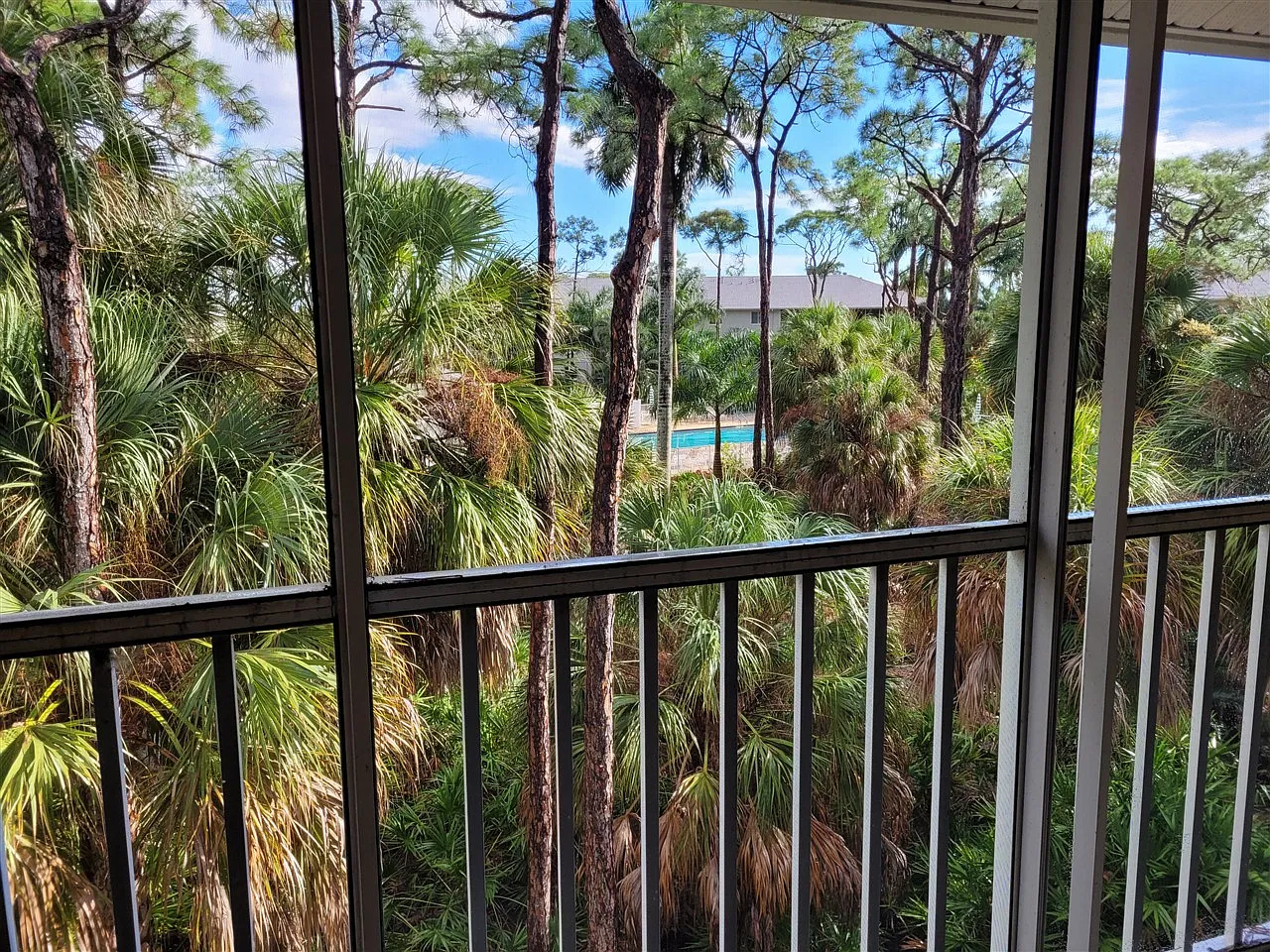 2 bed, 1100 sqft, $3,000 — Photo 2