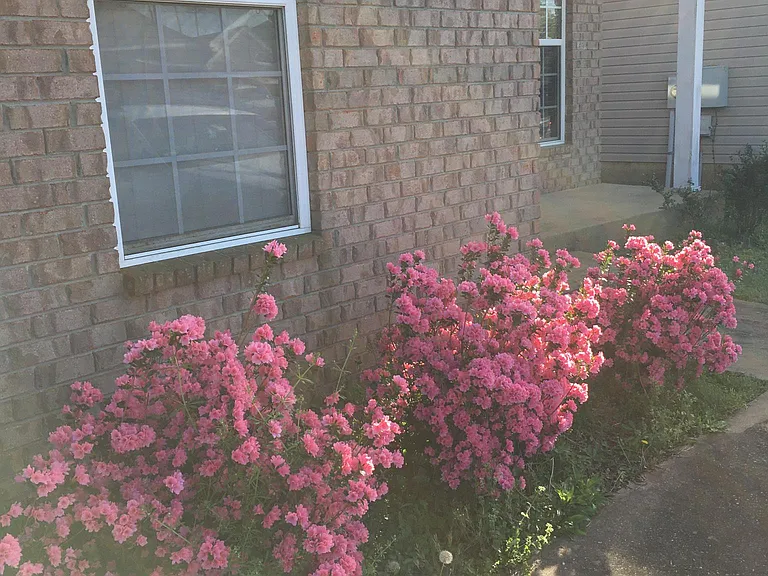 Frontside flower with porch