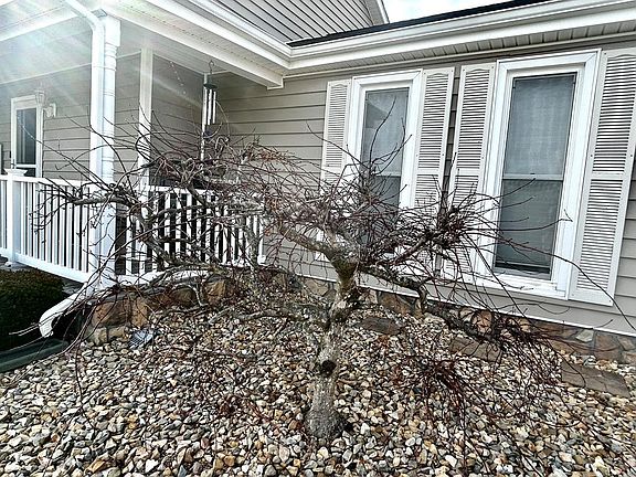 3rd image of 19205 Stone Mountain Rd