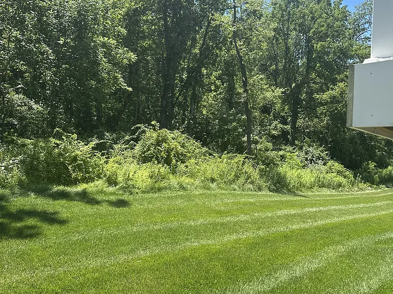 141 Arden Way — Photo 12