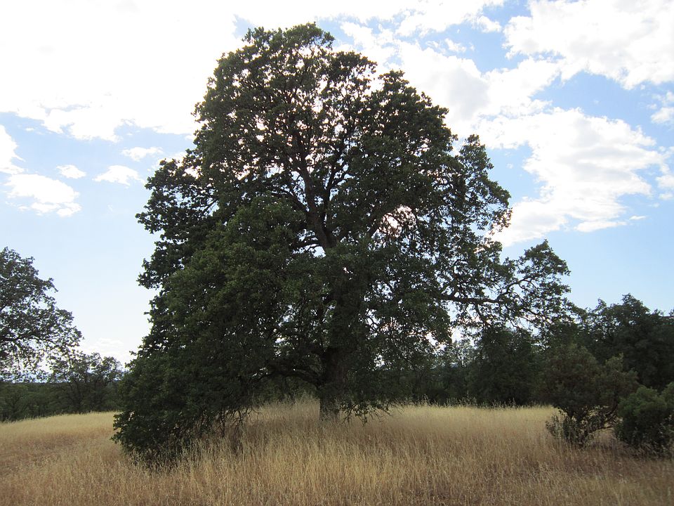 1st image of 000 Fair Oaks Road