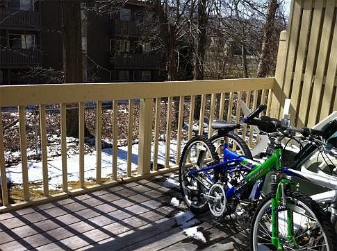3rd image of 115 Trellis Dr