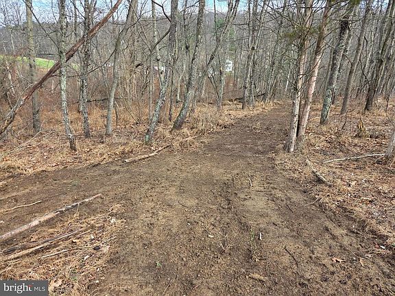 2nd image of 1237 Buckwheat Rd