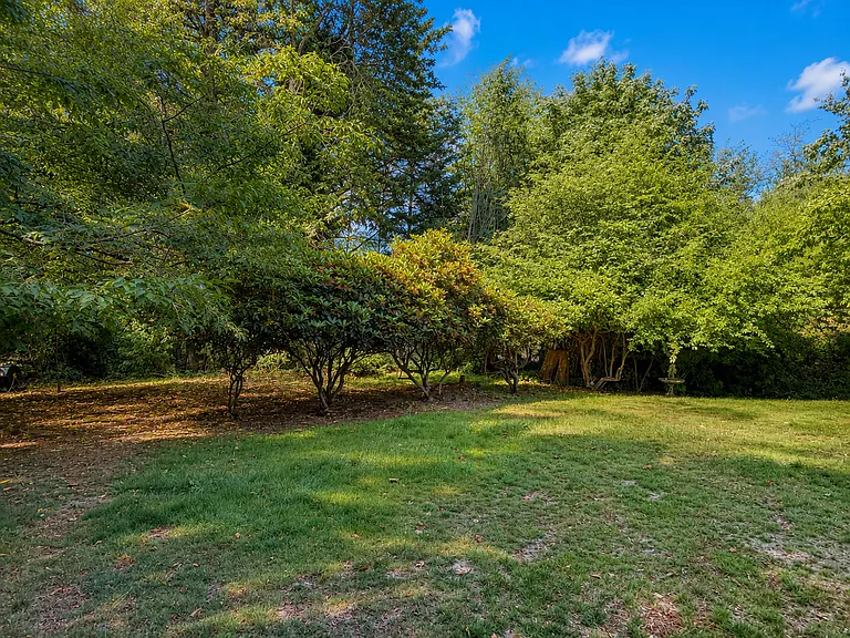 6223 Harlow Dr — Photo 28