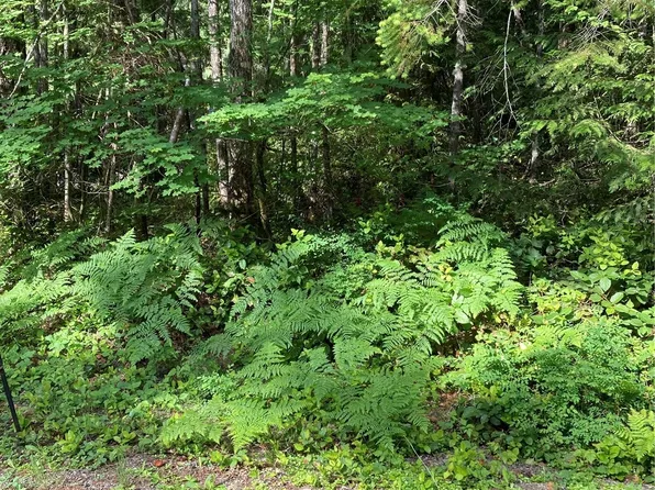 530 N Mt Jupiter Court, Hoodsport, WA 98548