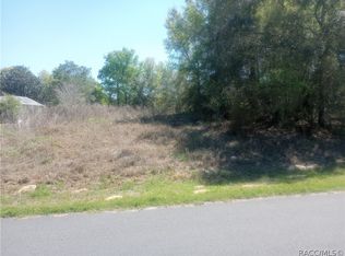 917 N Bennington Ter, Inverness, FL 34453