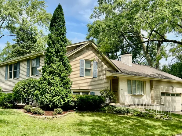 165 Tamarack Ave, Naperville, IL 60540