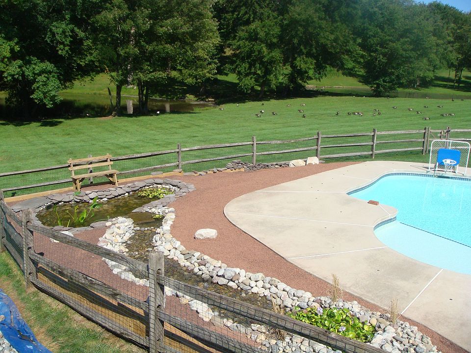 Pool / Koi Pond
