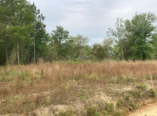 2055 Thomas K Scott Rd, Collins, GA 30421