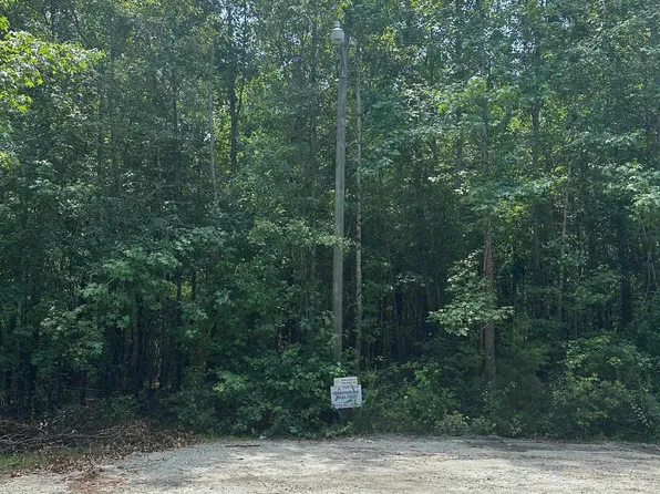 0 Clarence McCambry Rd, Grantville, GA 30220