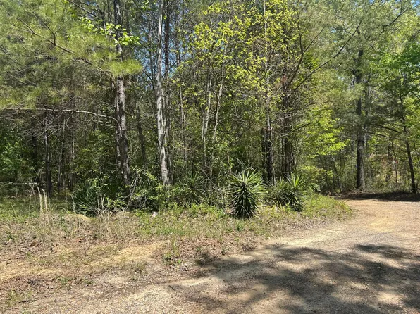 Lots 1 & 2 Pine Cir, Jasper, AL 35503