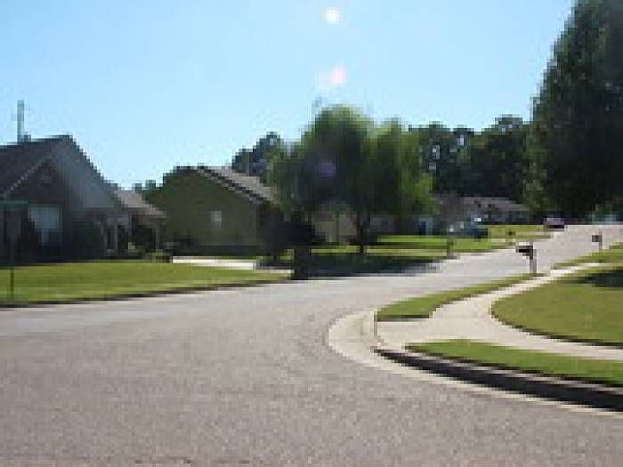 Neighborhood Picture